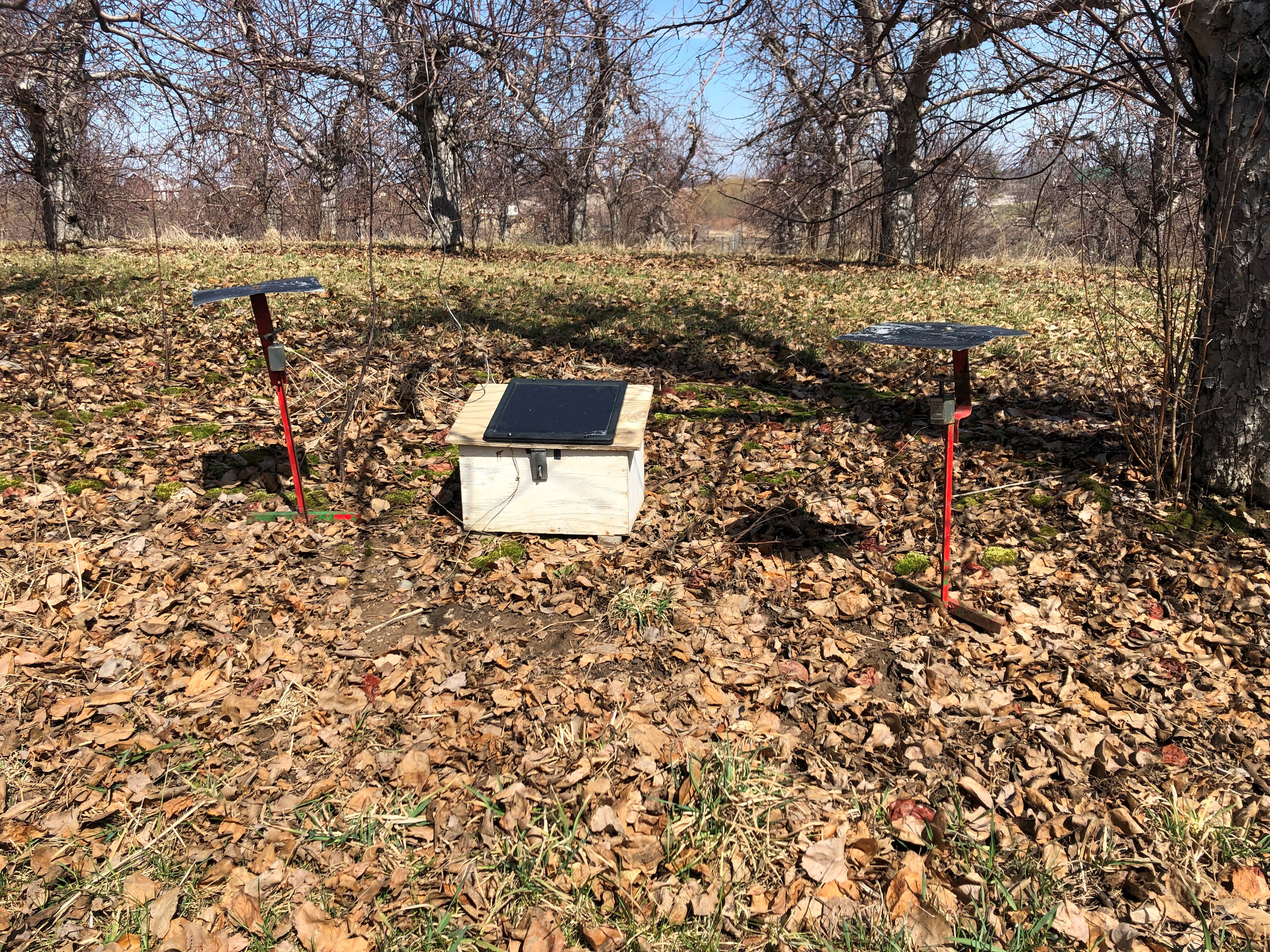 Apple scab monitoring setup