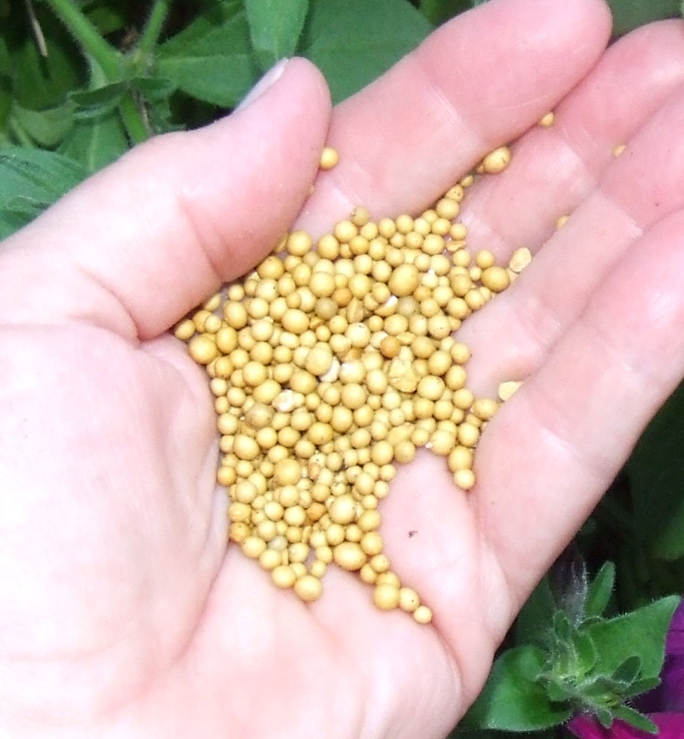 Pelletized fertilizer in a hand