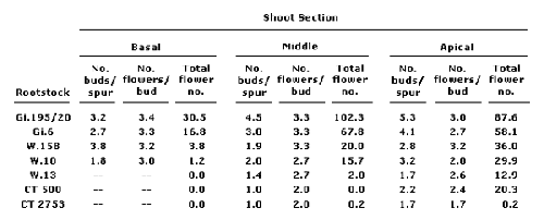 The number of flowers per bud, buds per spur, and mean number of flowers for seven intermediate vigor (semi-dwarfing) sweet cherry rootstocks