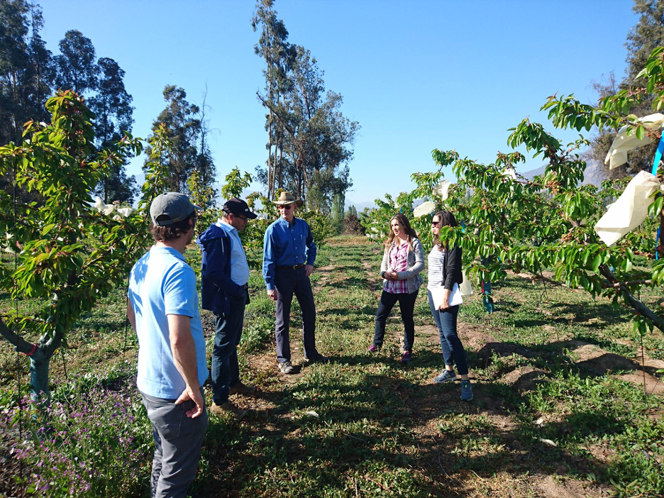 Dr. Lang working with colleagues from the Catholic University Of Santiago