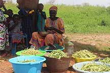 woman selling beans at a market