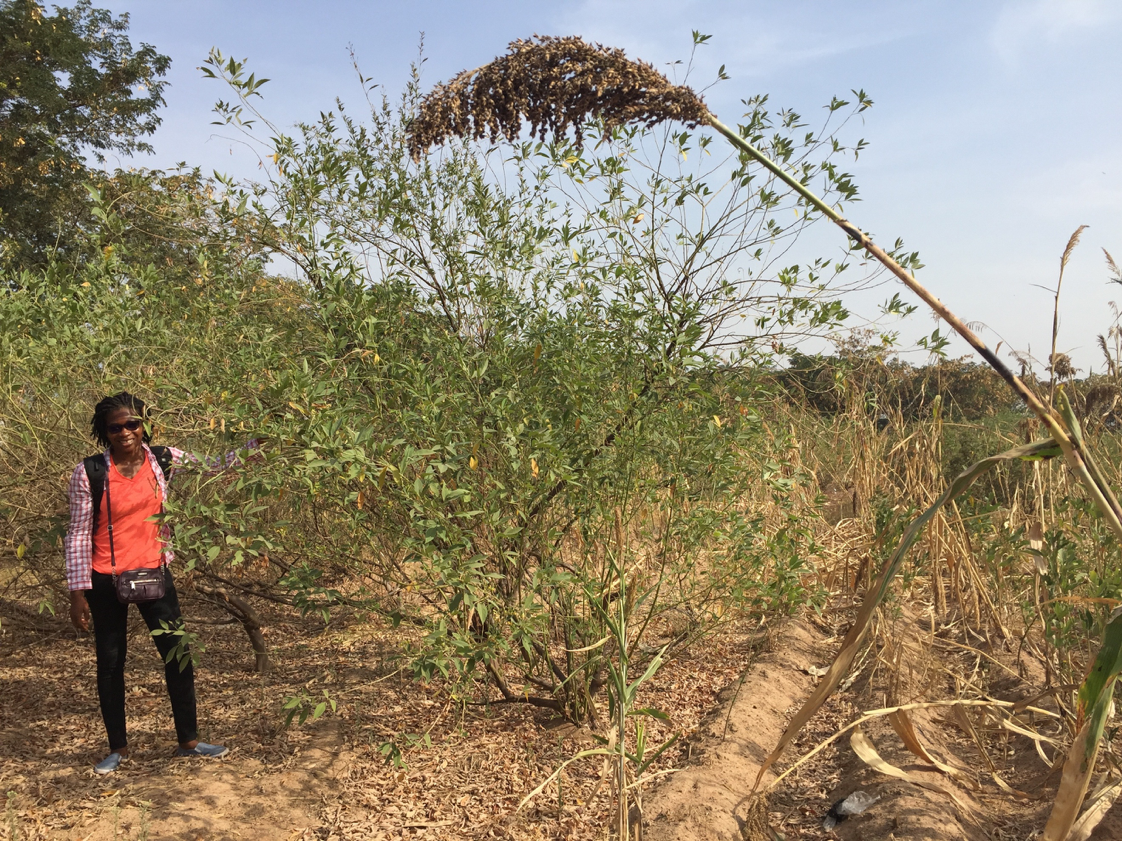 Woman standing in a field