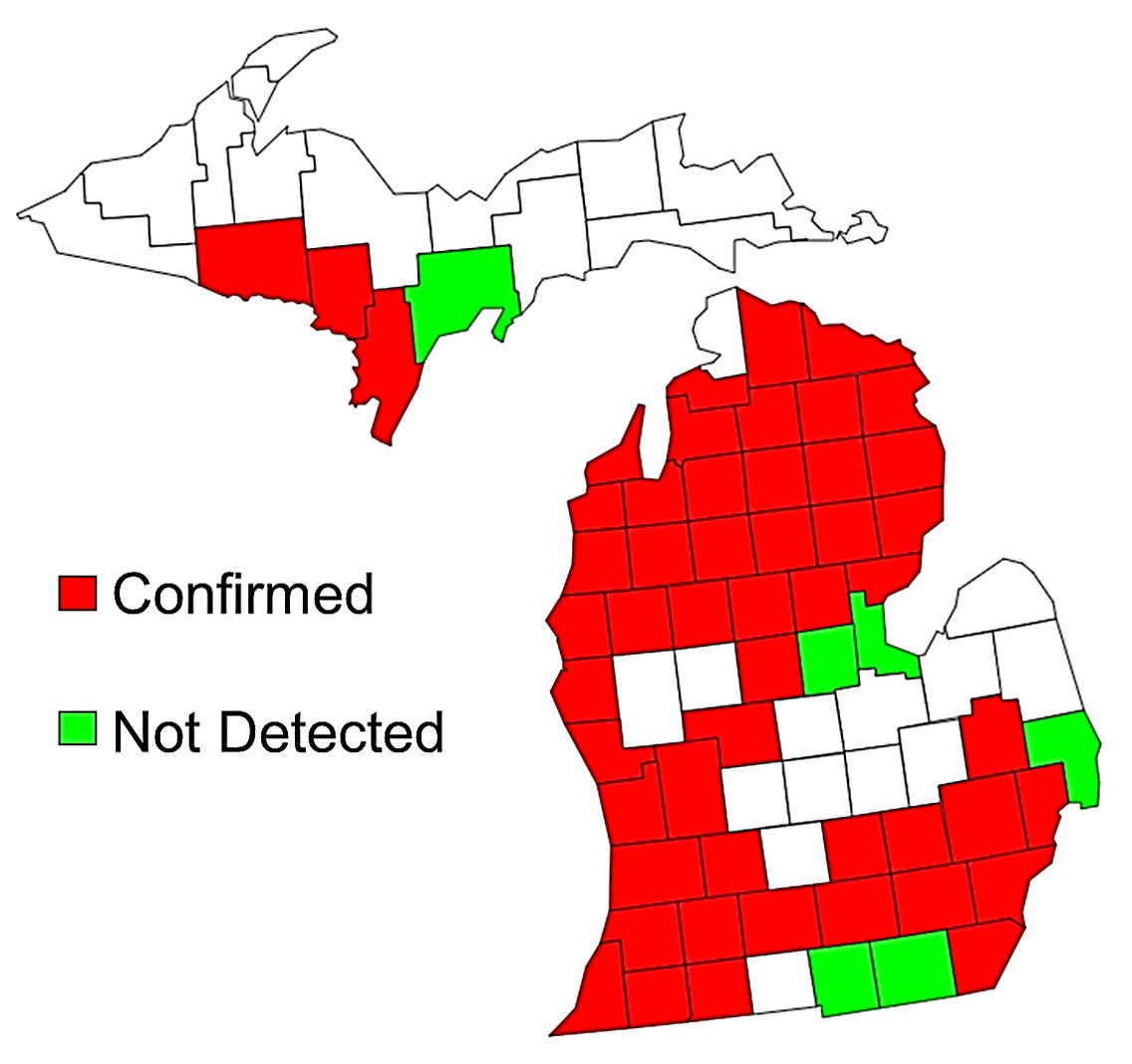 Oak_wilt_distribution_map_2