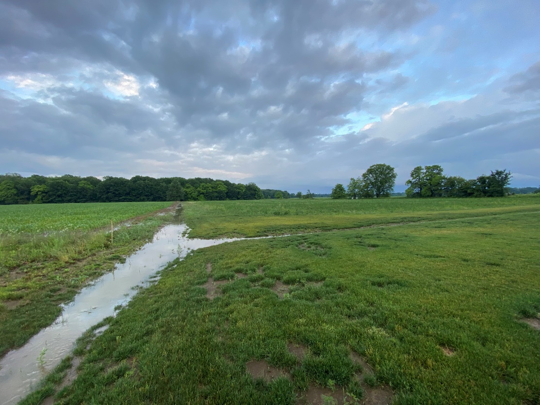 photo of water in a swale