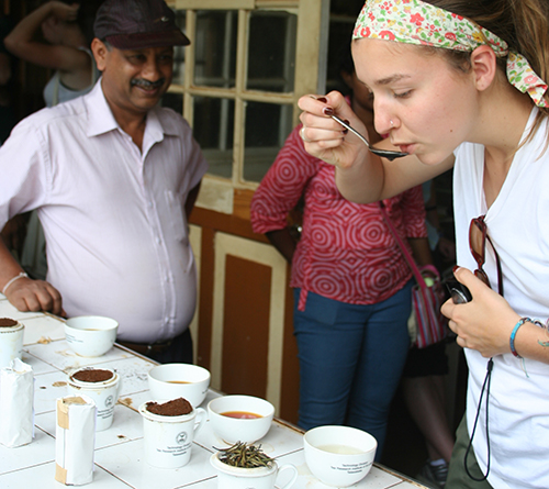 Tea tasting