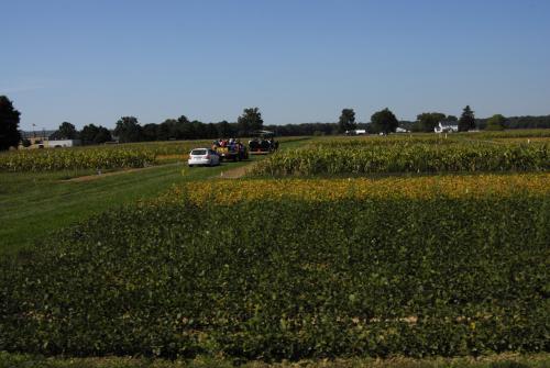 The Living Field Laboratory research plots.