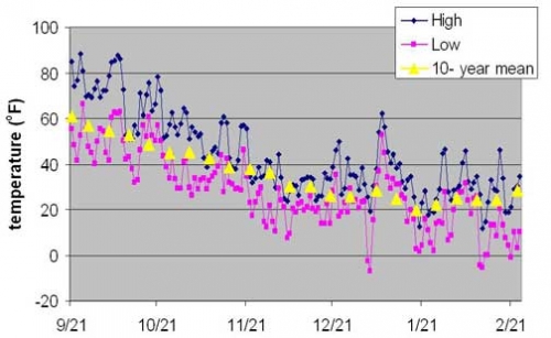 daily minimum and maximum temperature