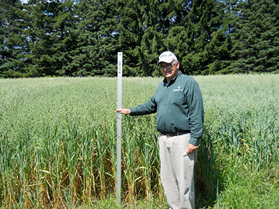 Forage Plus 46 with MSU Extension educator Jim Isleib.