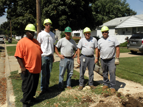 tree removal crew