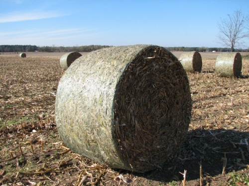 corn stover corn stover