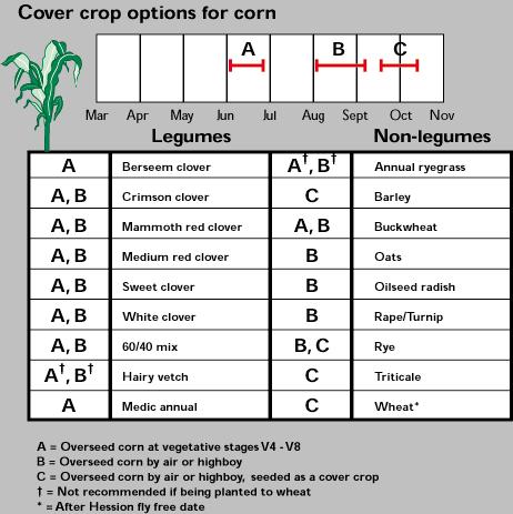 Corn Chart