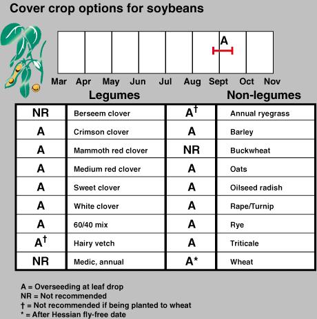 Soybean chart