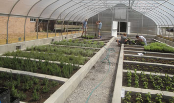 Workers inside Bailey GREENhouse