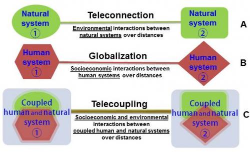 chart describing telecoupling connectivity