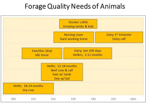 Forage quality needs of animals