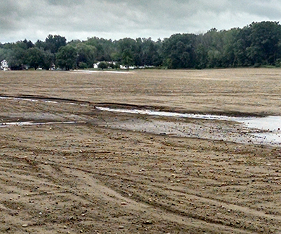 flooded field