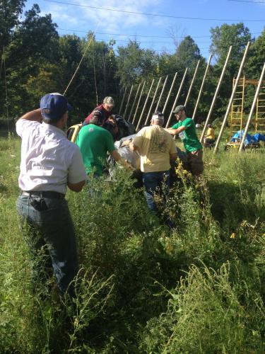 bringing the hops down