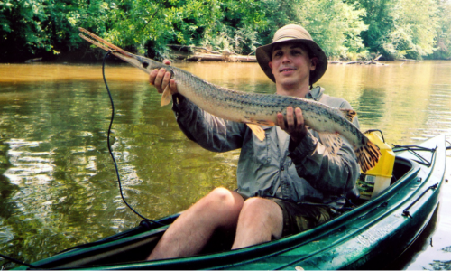 Gar being displayed by fisherman in kayak.