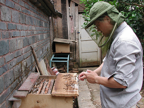 Beekeeping