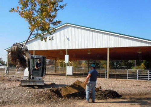 Planting the first tree