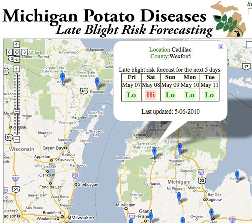 potato blight potato blight